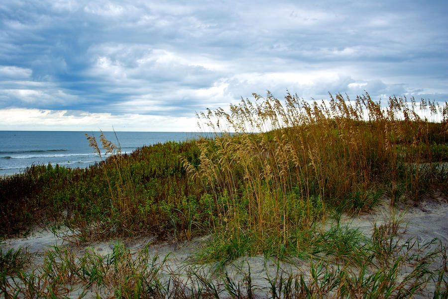 Sand Dune and Storm Clouds