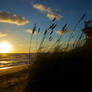 Sunrise over dunes