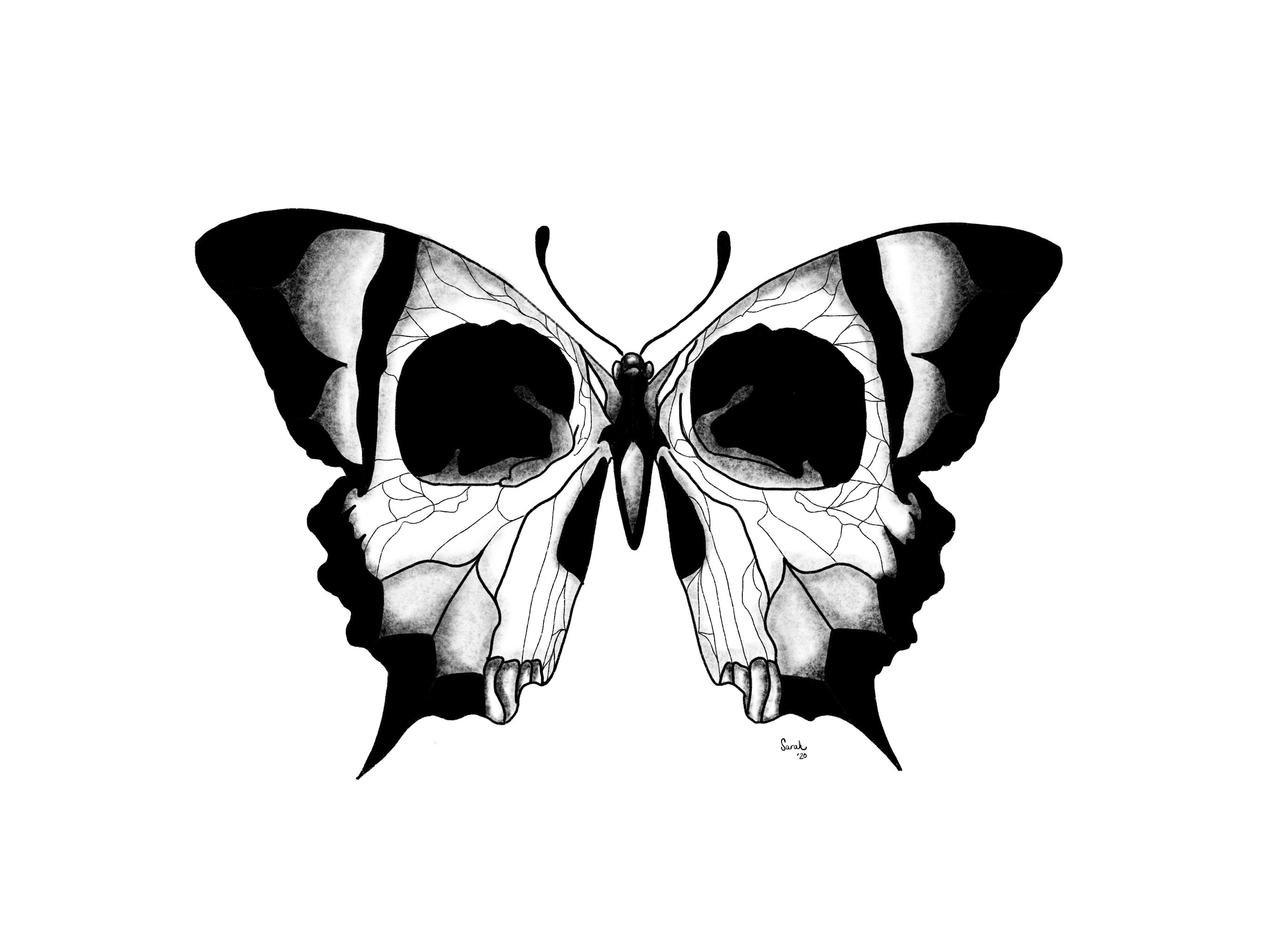 Butterfly/Skull by mmeaniemouse on DeviantArt
