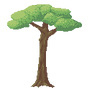 Tree Practice 3