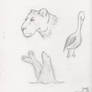 Animal Sketches 1