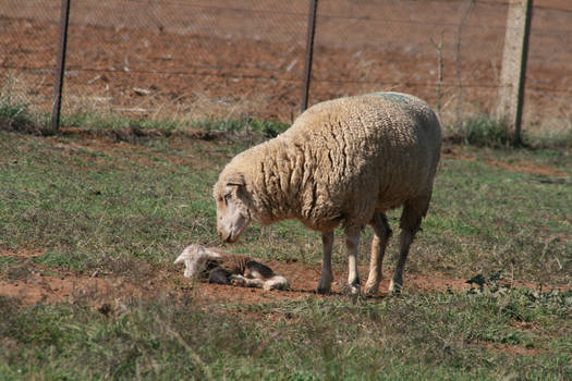 mum and baby 2