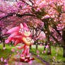 Sakura Sonic