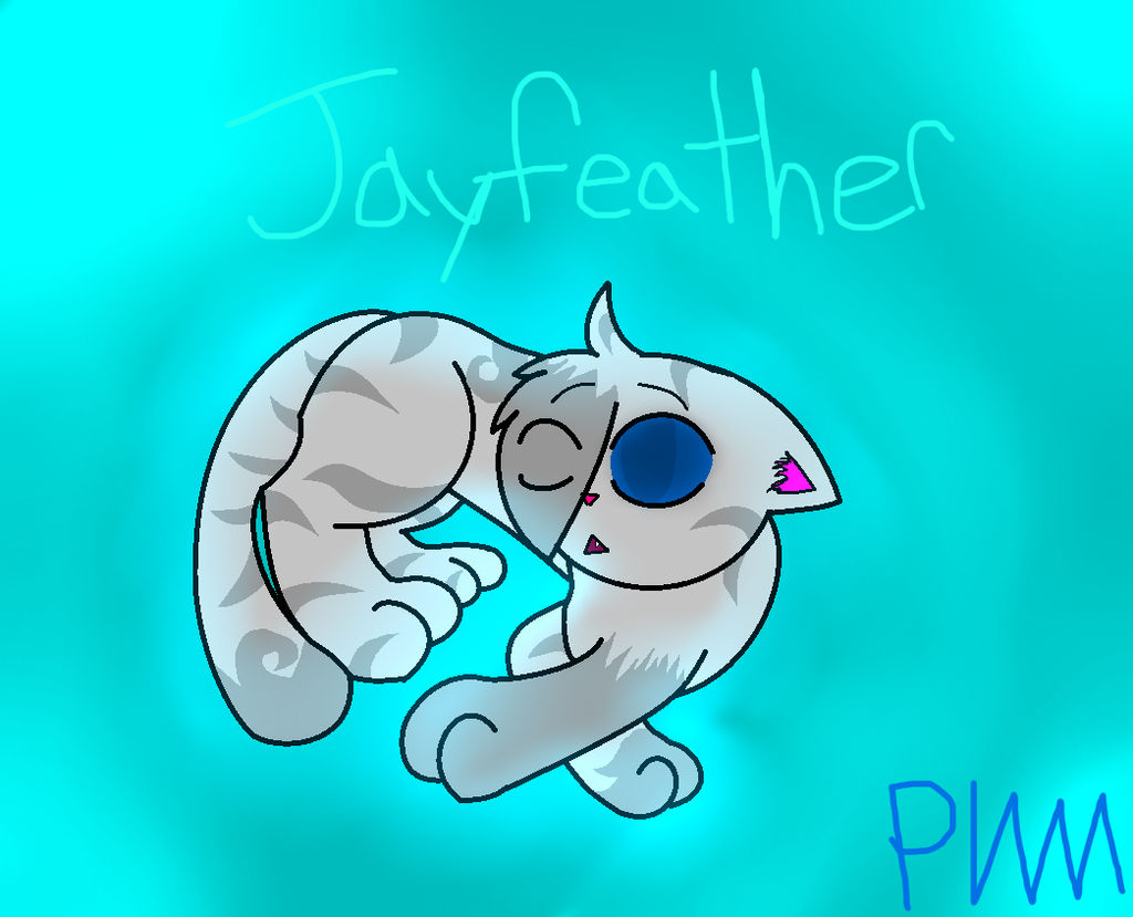 Adorable Jayfeather