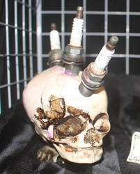 Sparky the resin fetus skull