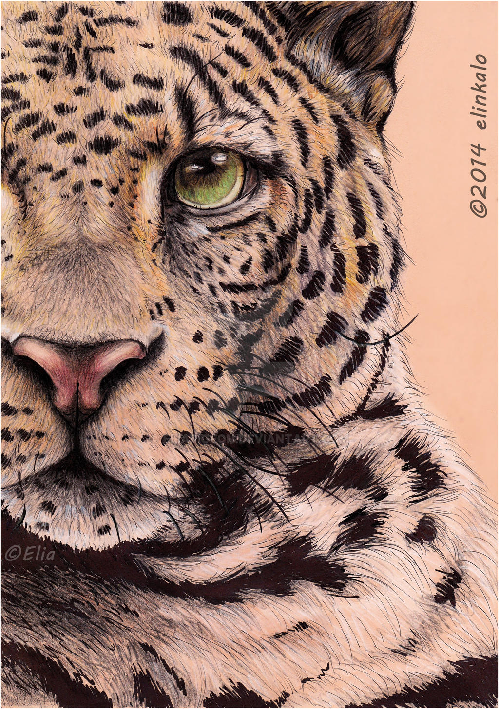 Half face of Leopard by EliaPigeon on DeviantArt