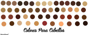 Paleta De Colores Para Cabellos