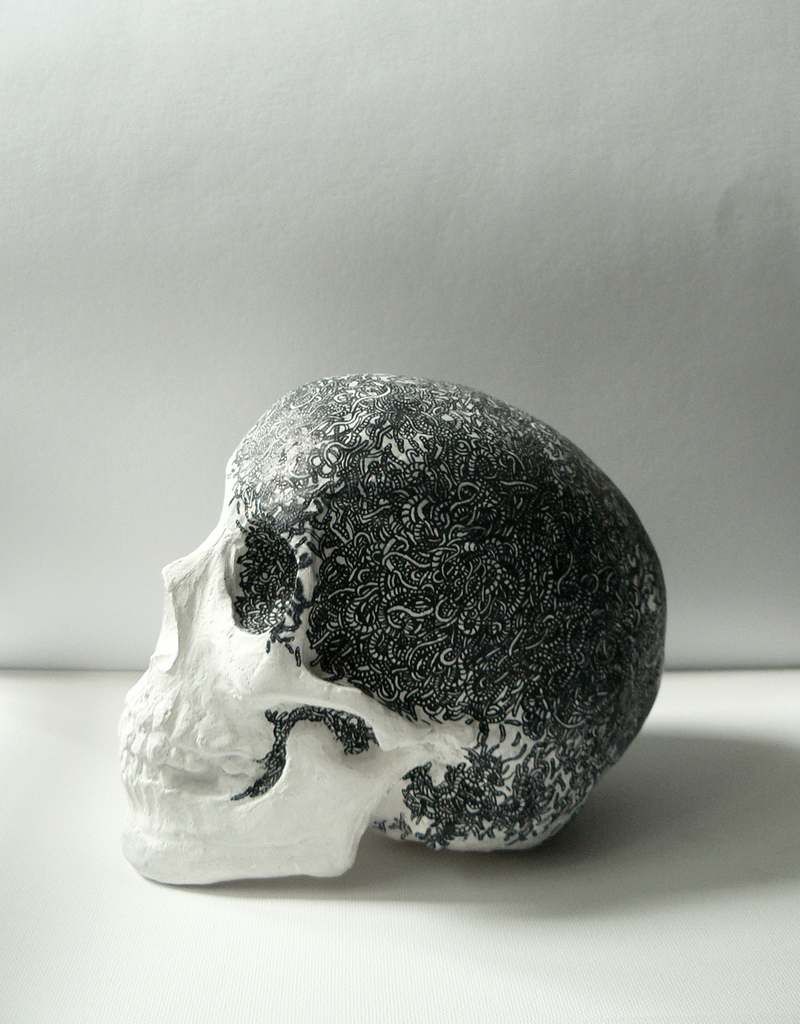 Skull in Decay