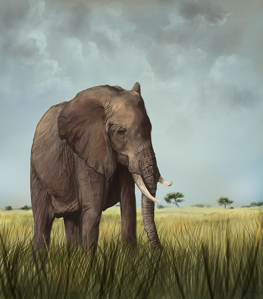 Elliephant Ellyfant by tangolium on DeviantArt