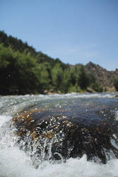 Colorado Rockies.