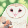 Barn Owl