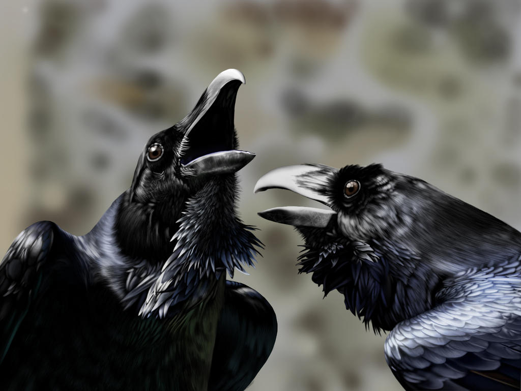 Ravens Study by AlienOffspring on DeviantArt