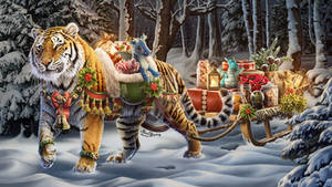 Yule Tiger