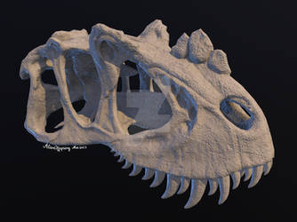 3D Ceratosaurus Skull
