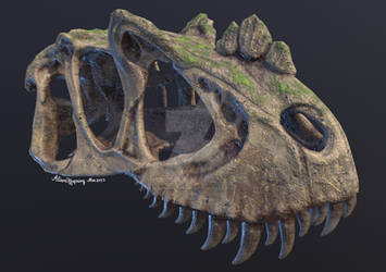 3D Ceratosaurus Skull (textured)