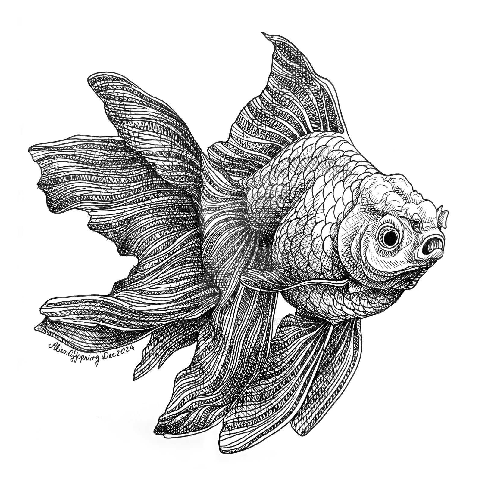 Detailed Fish Ink Drawings How To Draw Fish Ink