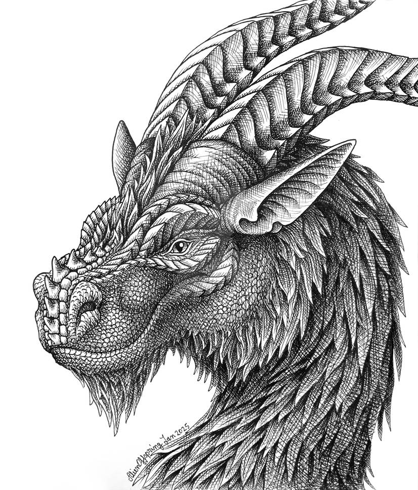 Dragon Ink Drawing Reference Dragon Portrait Ink Drawing by AlienOffspring on DeviantArt