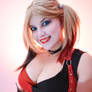 Harley Quinn (Arkham City) 24
