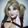 Harley Quinn (Arkham Knight) 30