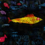 Copy of Gold Fish by Klee