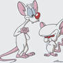 Pinky and The Brain