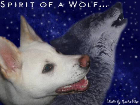 Wolf Spirit