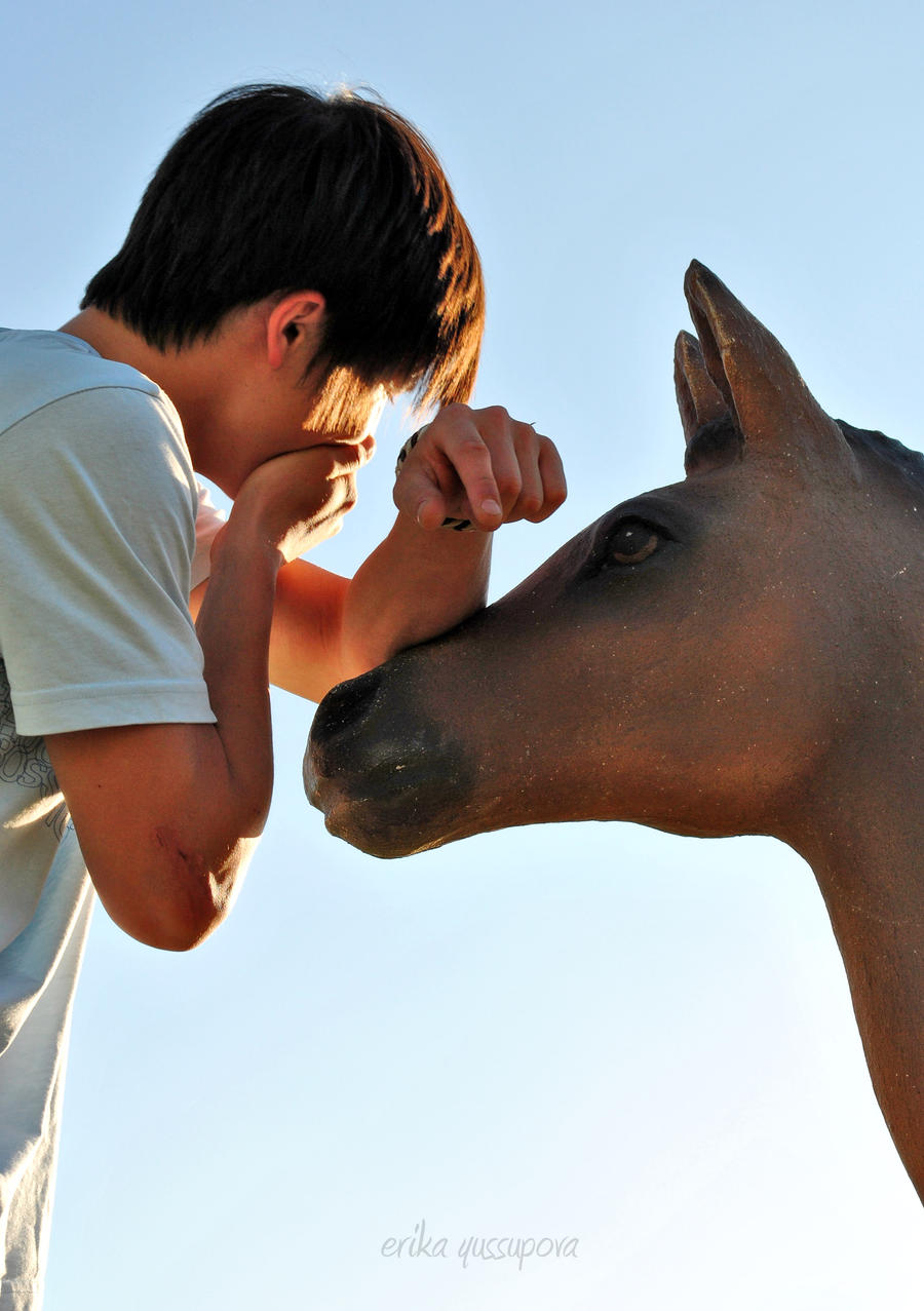 the horse and his boy