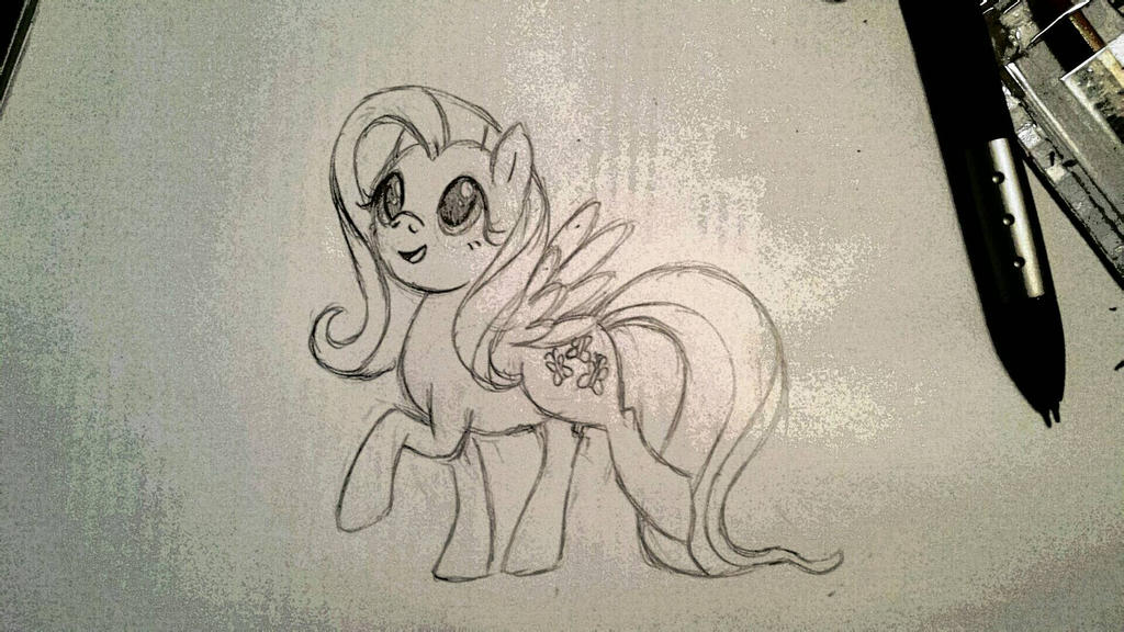 Fluttersketch