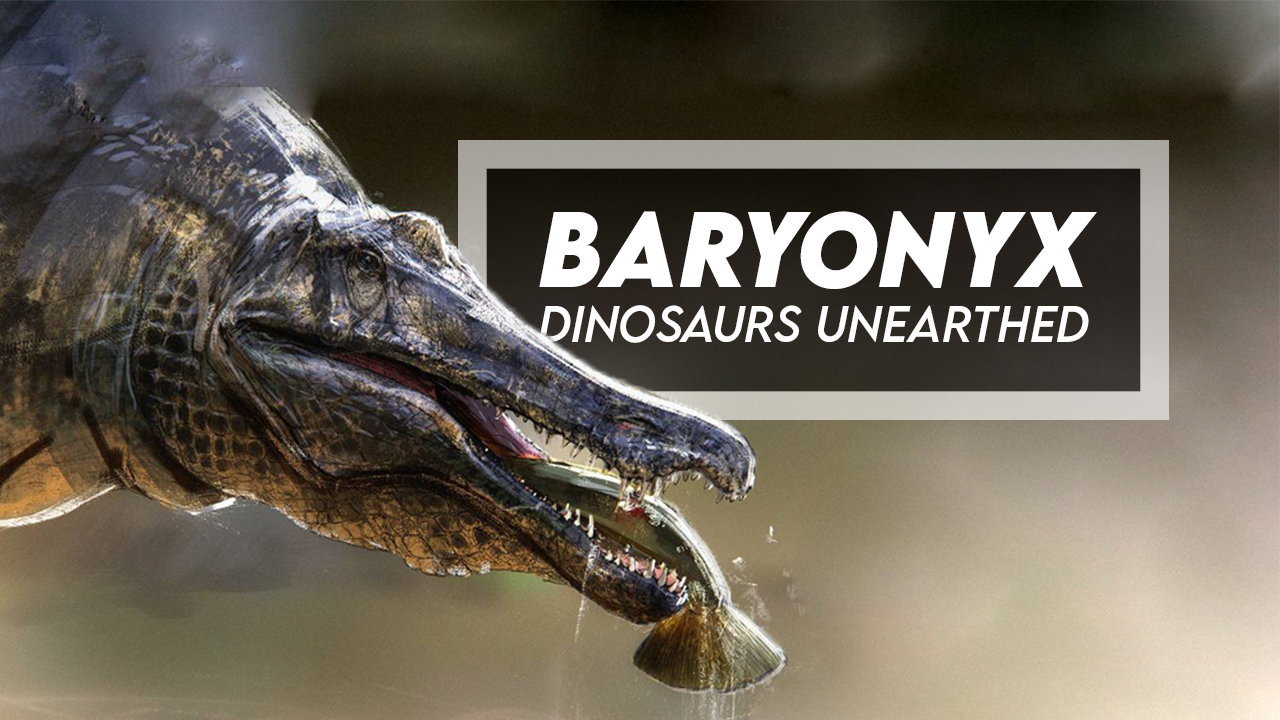 A Carnivorous Baryonyx Dinosaur Menaces An Herbivorous Sauropod On