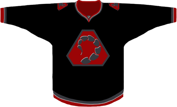 USA Hockey Jersey Concept by PD-Black-Dragon on DeviantArt