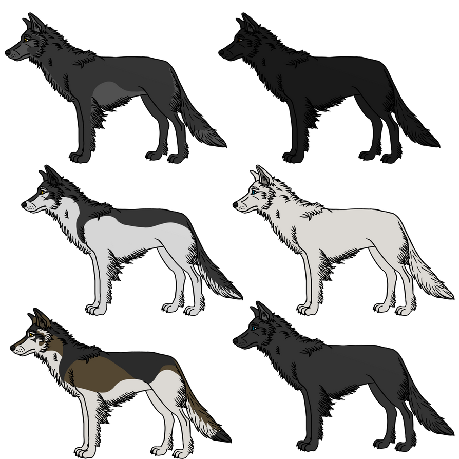 Wolfdog Color Variations by PD-Black-Dragon on DeviantArt