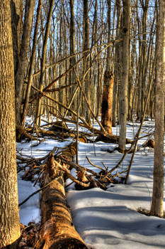 X Marks The Spot HDR