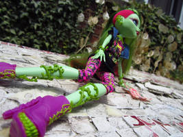 MH Venus McFlytrap
