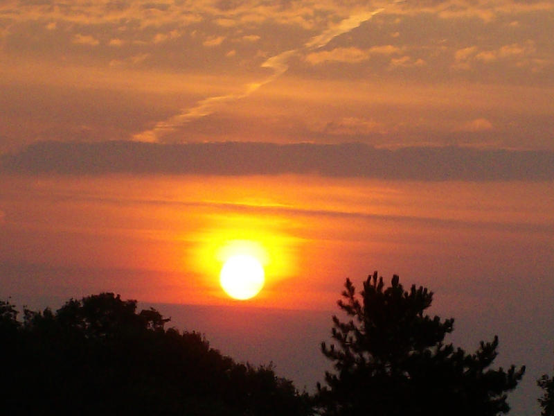 The Rising Sun I by GSDpuppypaws on DeviantArt