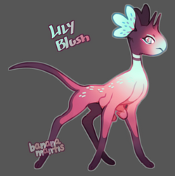 [AUCTION] Lily Blush