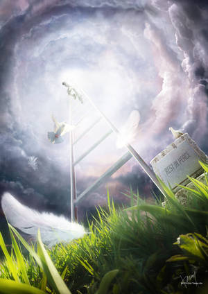 Ladder to Heaven by Cold-Tommy-Gin