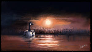 Canada Goose at Sunset - 1-21-2024