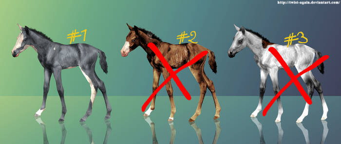 Horse adoptables OPEN - 15 points