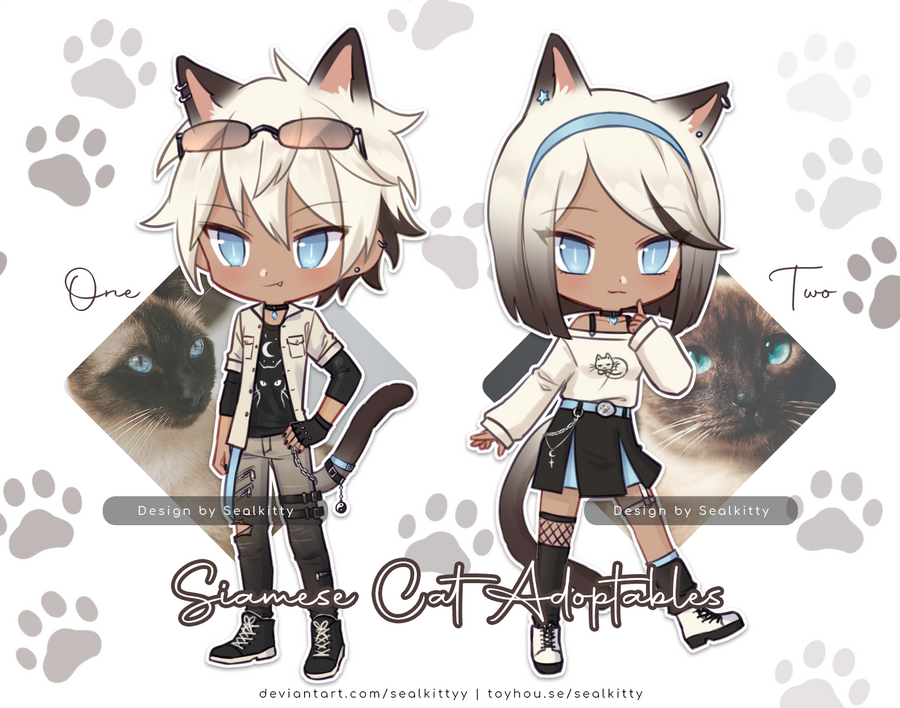 _48h_auction_open__siamese_cat_adopts_by