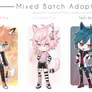 [Auction] Mixed Adopts