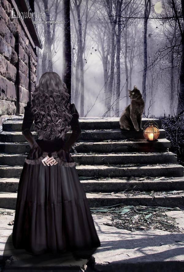 Ведьма со сложным имиджем в 3. Ведьма со спины. Красивая ведьма со спины. Ведьма в черном платье. Ведьма с кошкой.