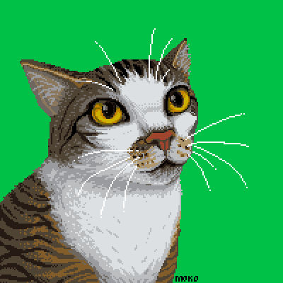 Mia The Cat by Monmokomon on DeviantArt