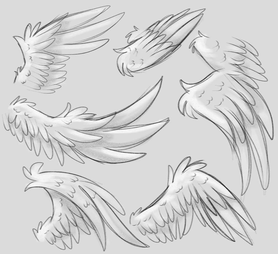 Drawing Wing Position I REALLY like to draw WINGS by AngelWingsMlpFIM on DeviantArt