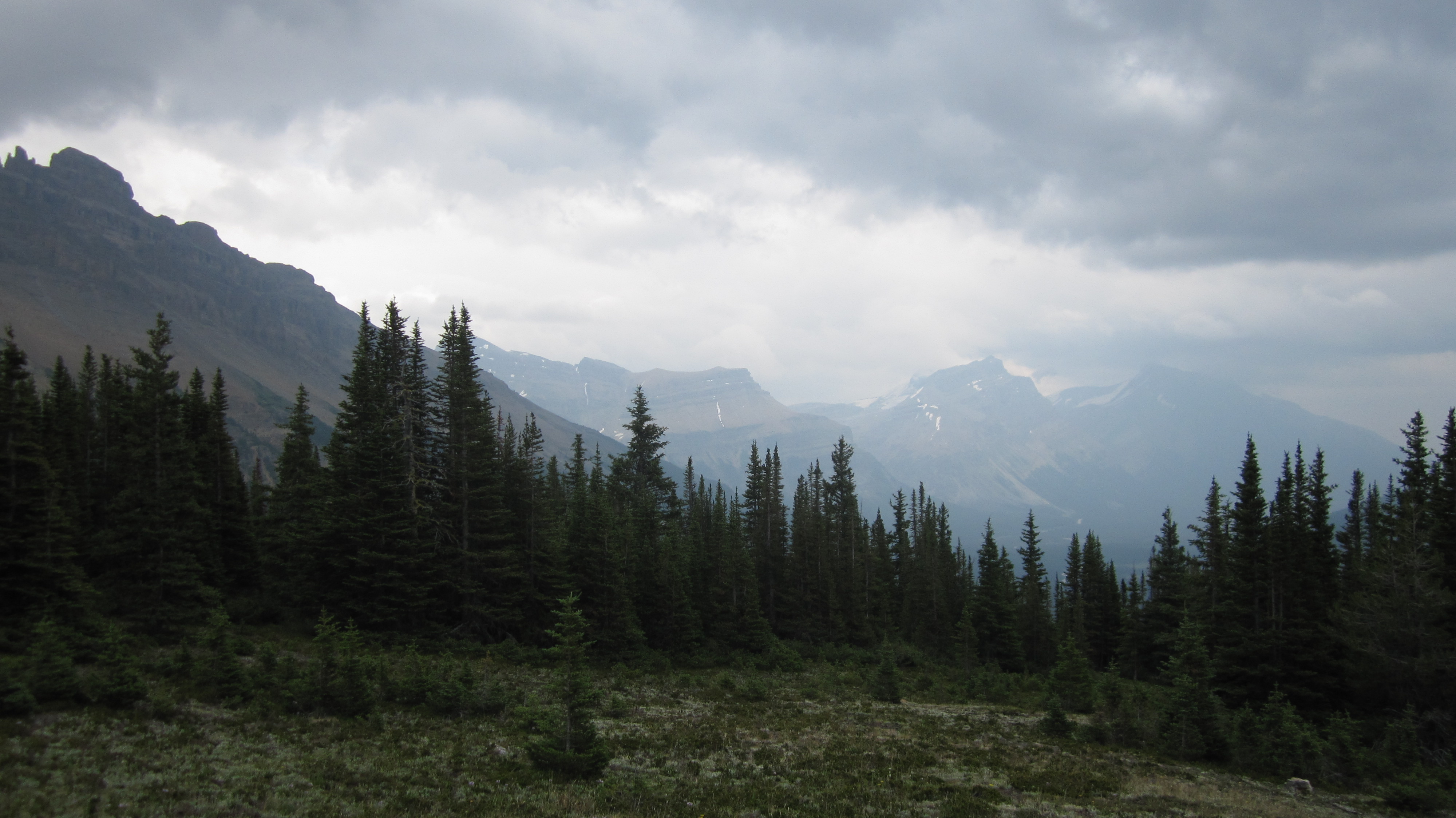 дождь в горах