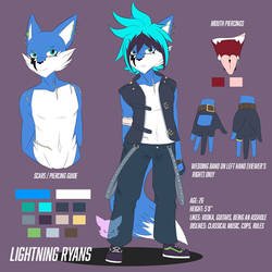 Lightning Reference 2019