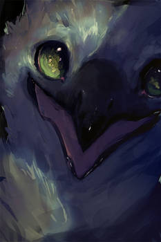 Painting Win from taum discord