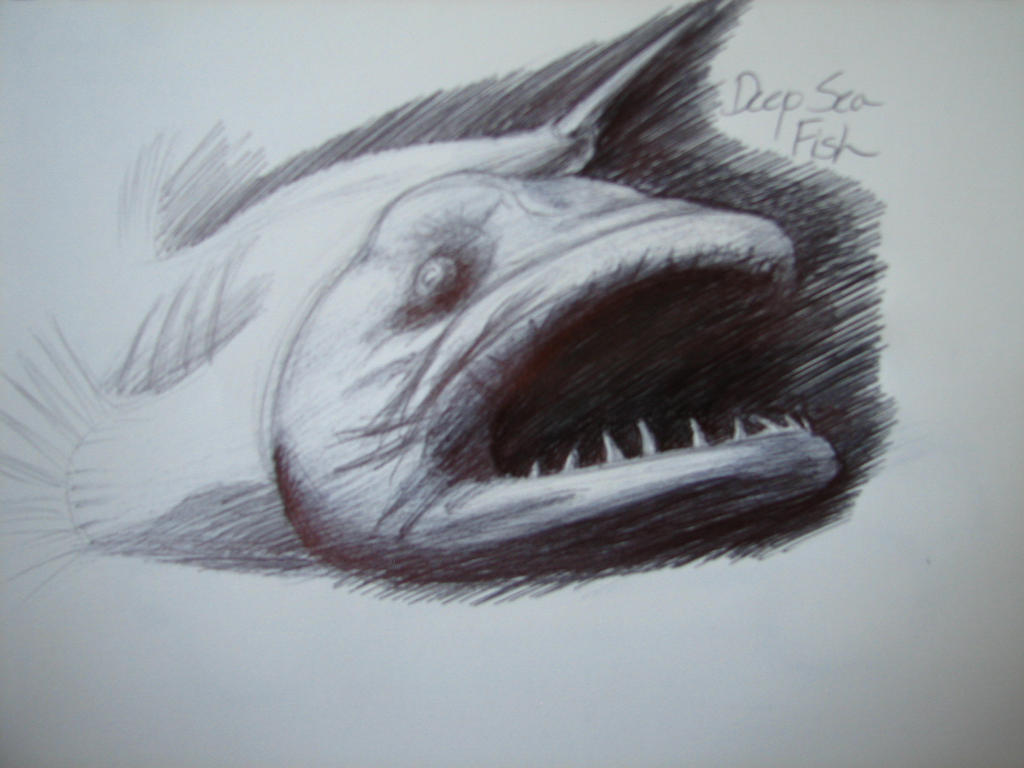 Deep Ocean Fish by speeddemon575 on DeviantArt