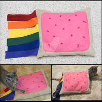 Nyan Cat Poptart --Pillow for cats