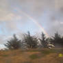 Rainbow in San Fran