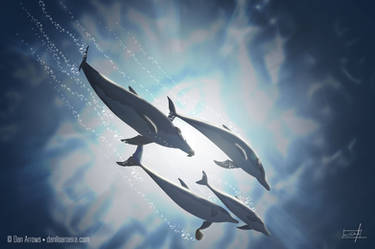 Family of Dolphins